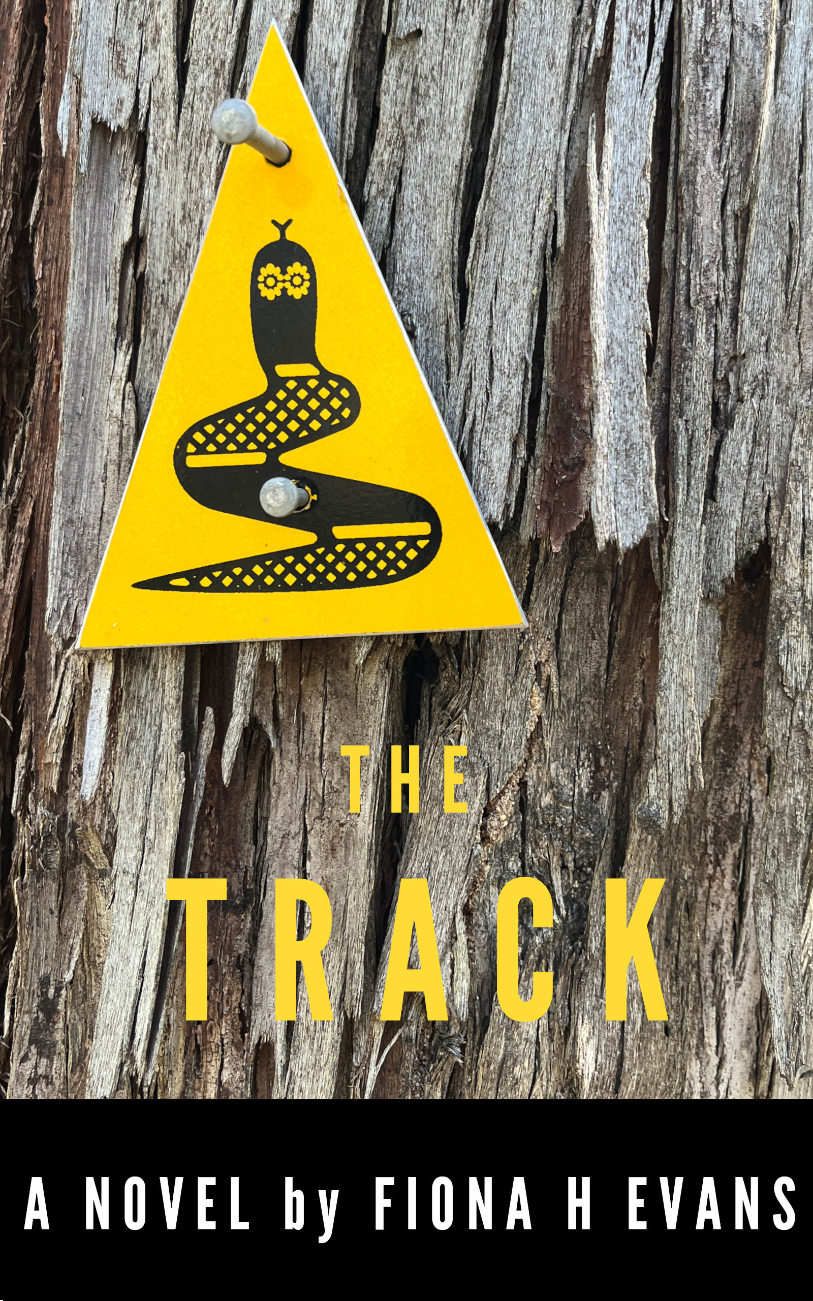 Cover of The Track by Fiona H Evans